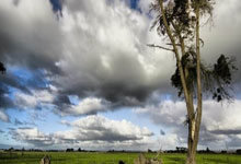 阿根廷一共获得过几次世界杯冠军？每一次夺冠都有哪些精彩故事？