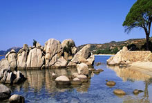 法甲积分榜新浪上怎么看?最新排名和争冠保级形势如何?